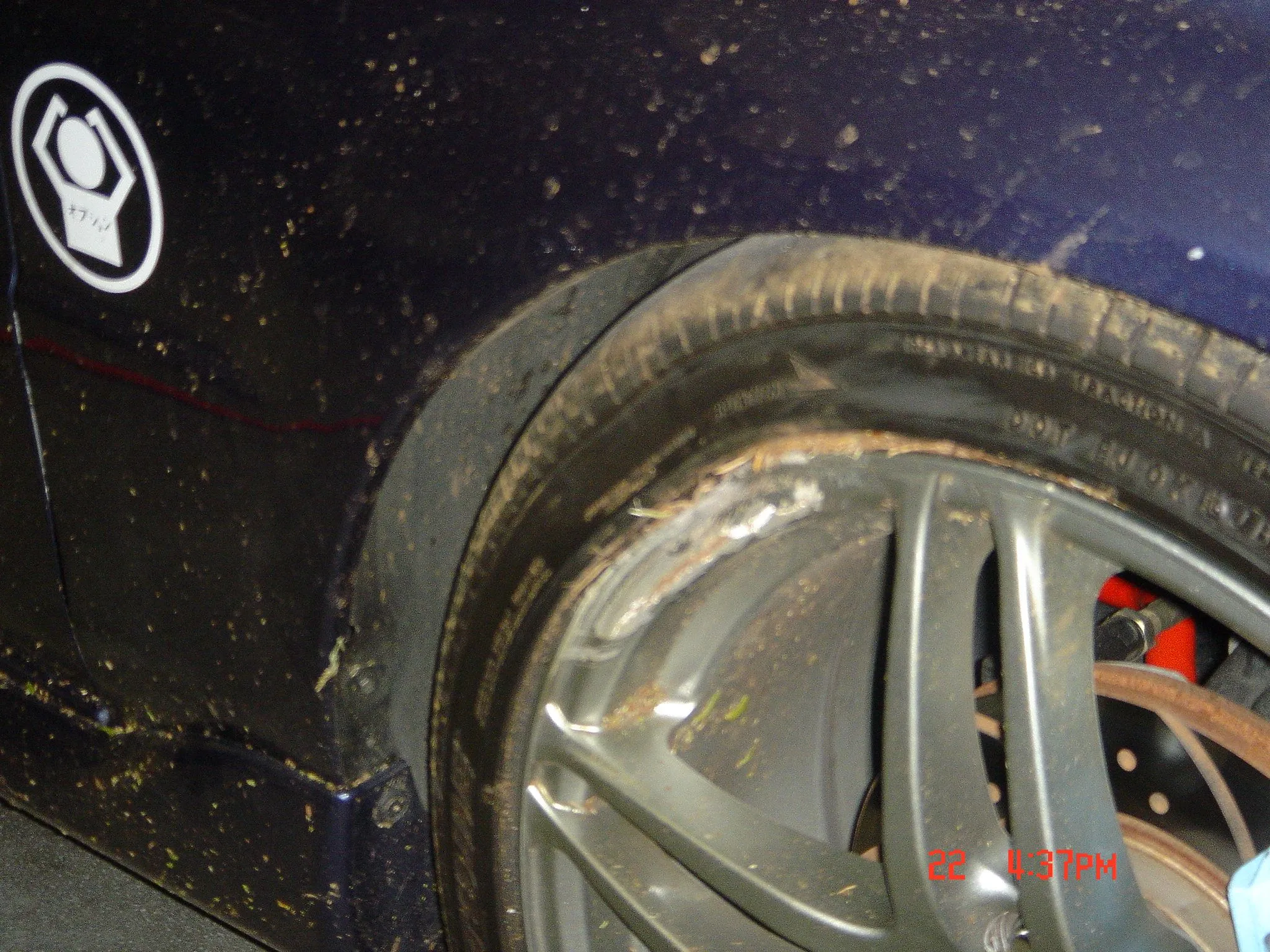 DSC00135.webp