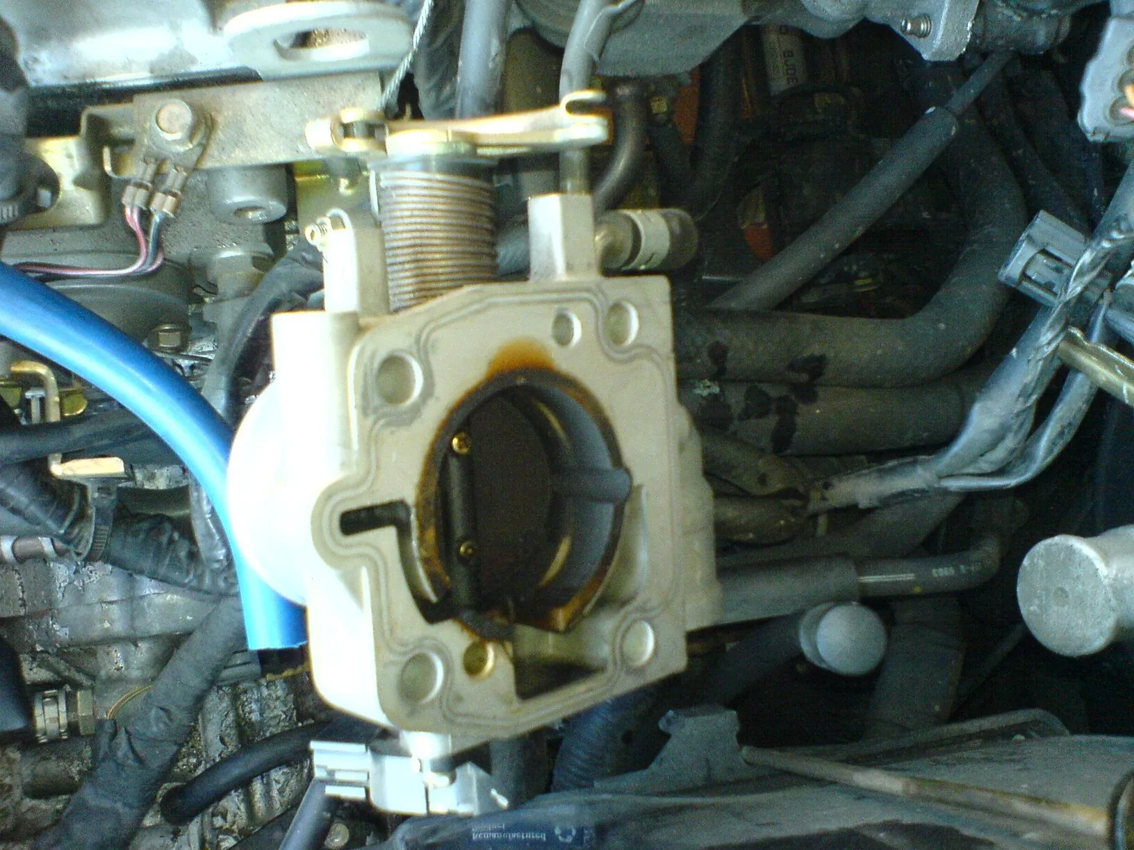 DSC00168.webp
