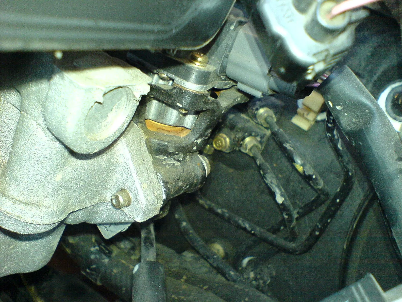 DSC00171.webp