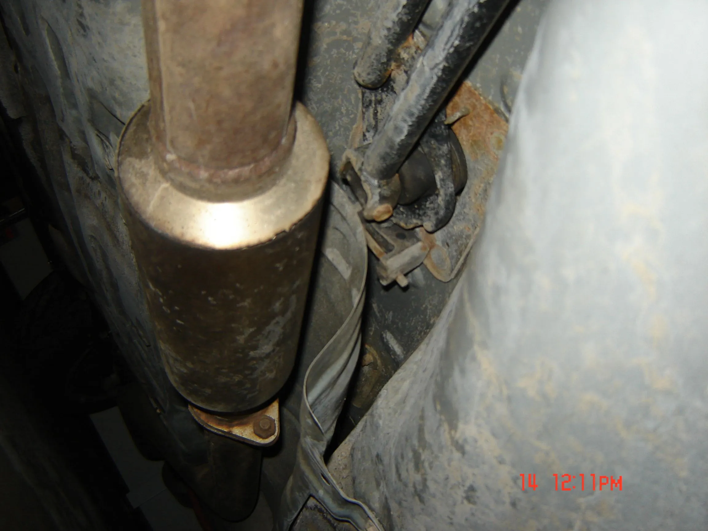 DSC00229.webp