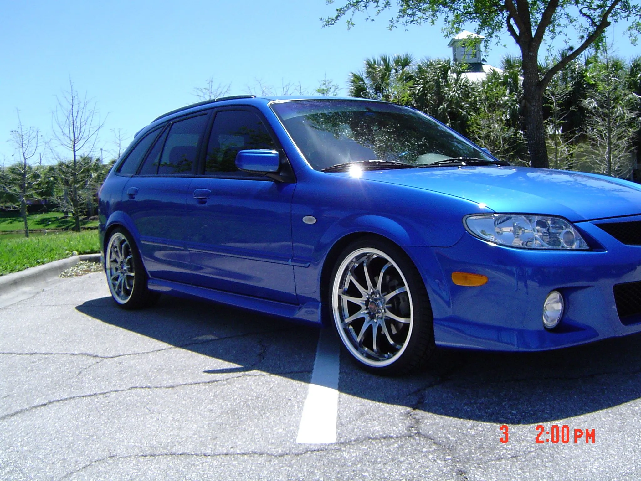 DSC00437.webp