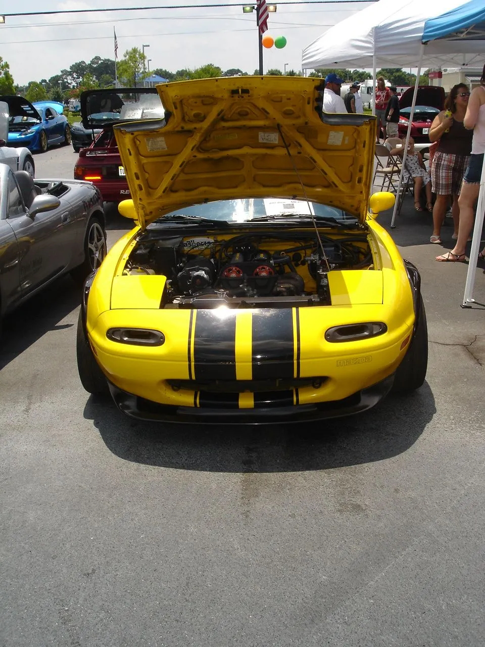 DSC00463.webp