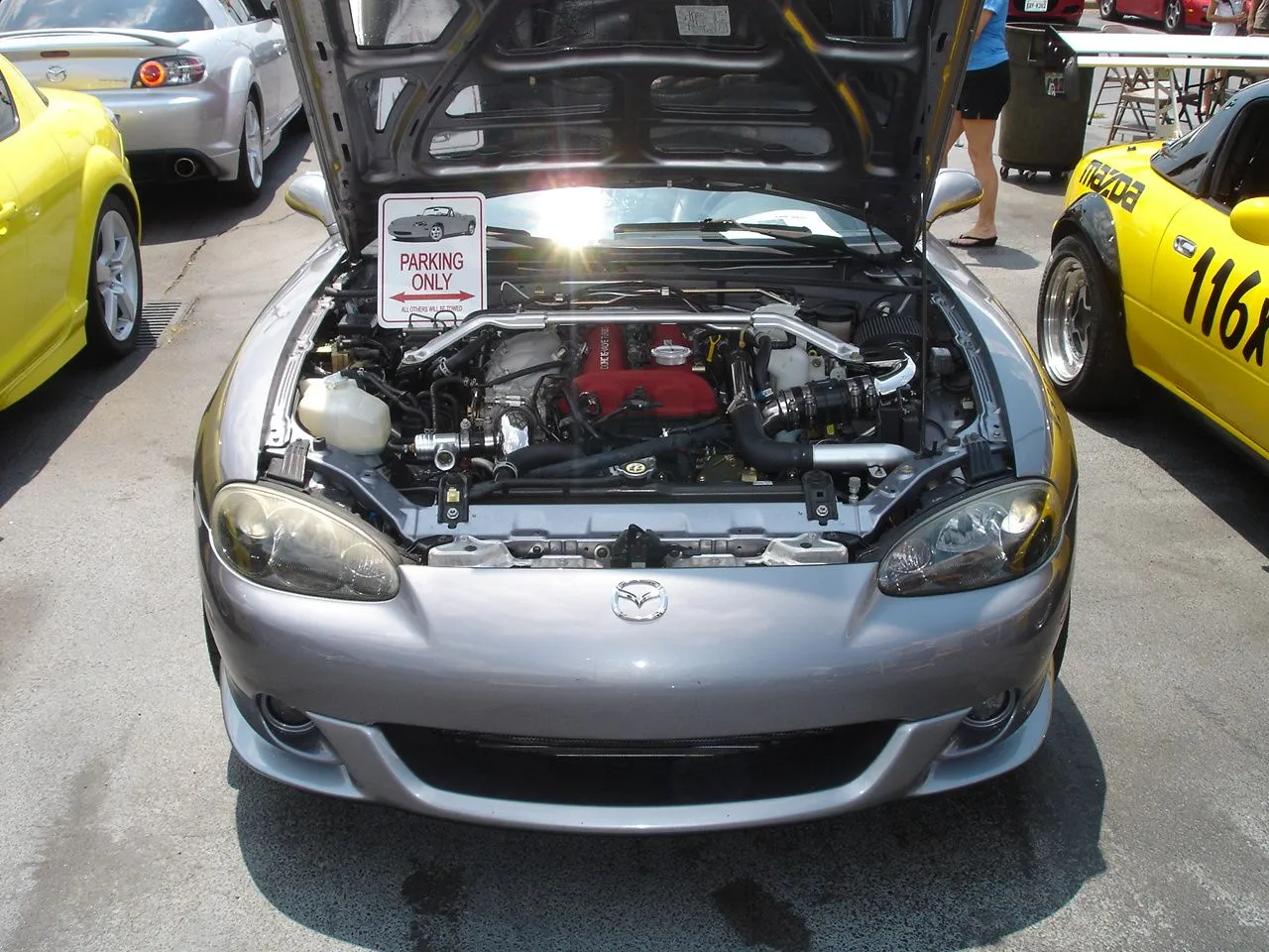 DSC00466.webp