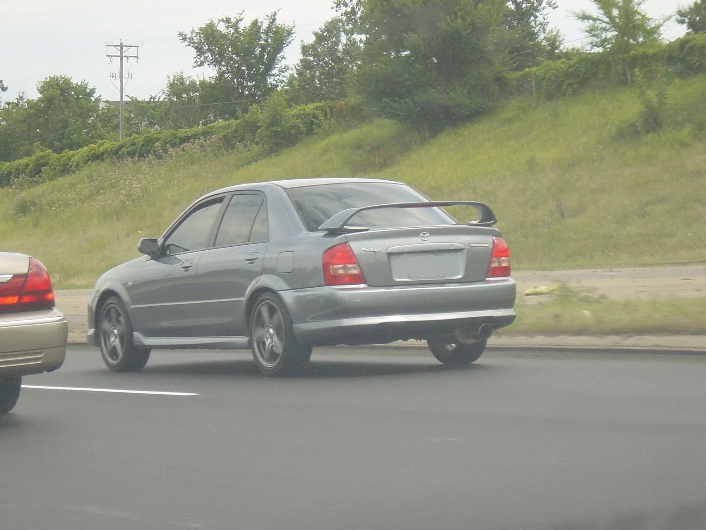 DSC00484.webp