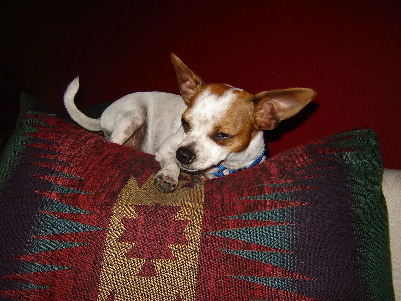 DSC00624.webp