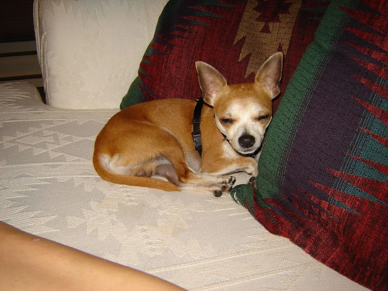 DSC00625.webp