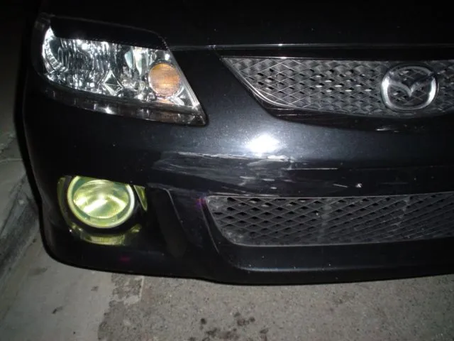 dsc00695.webp
