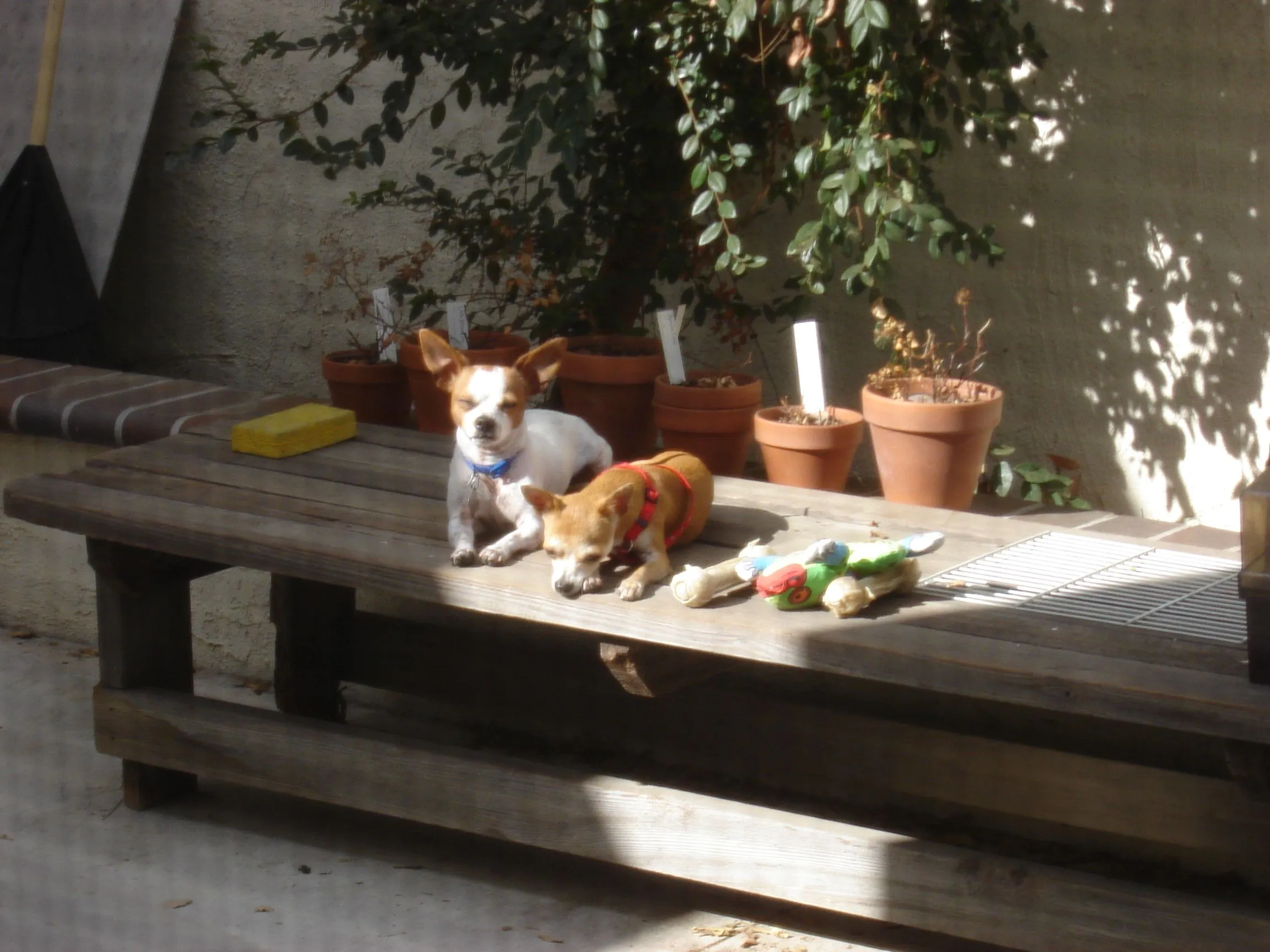 DSC01058.webp