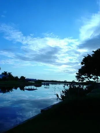 DSC01069.webp