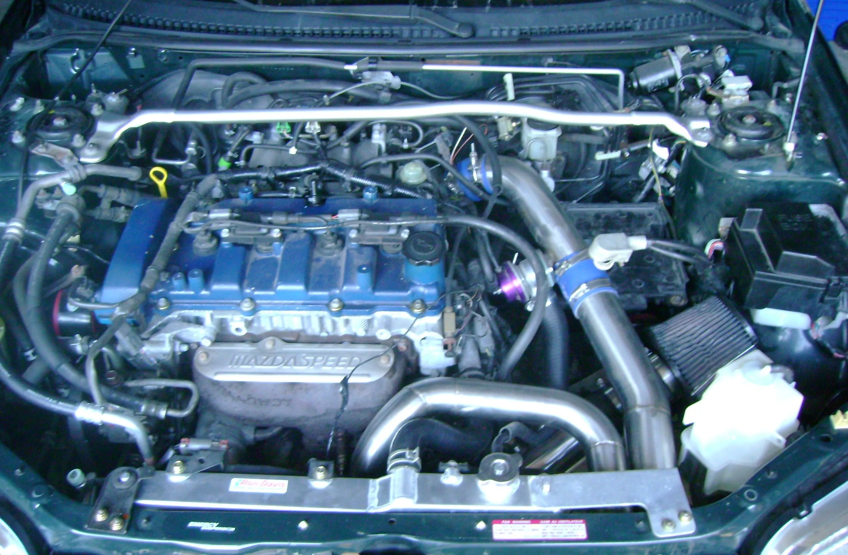 DSC01071.webp