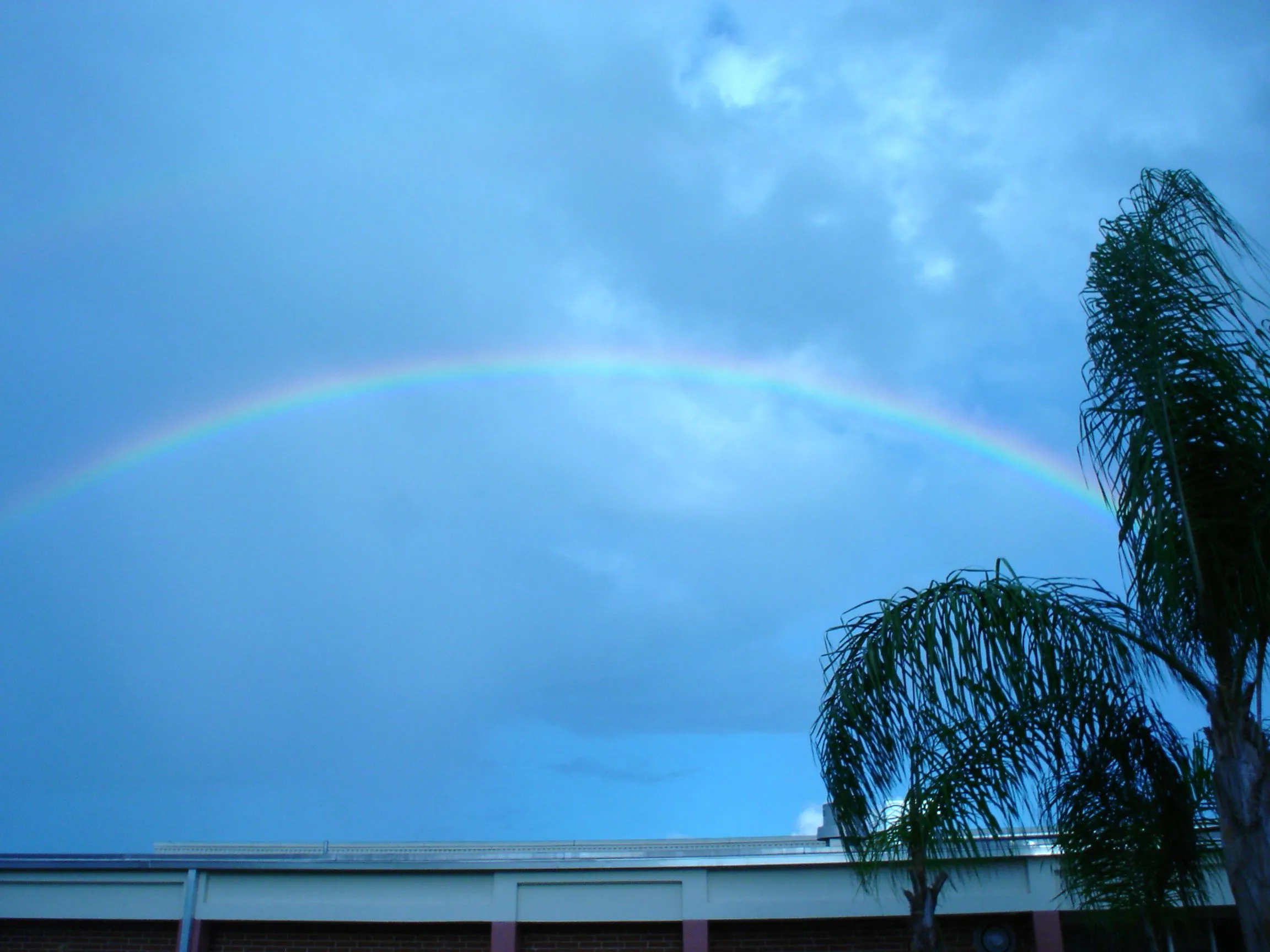 DSC01079.webp