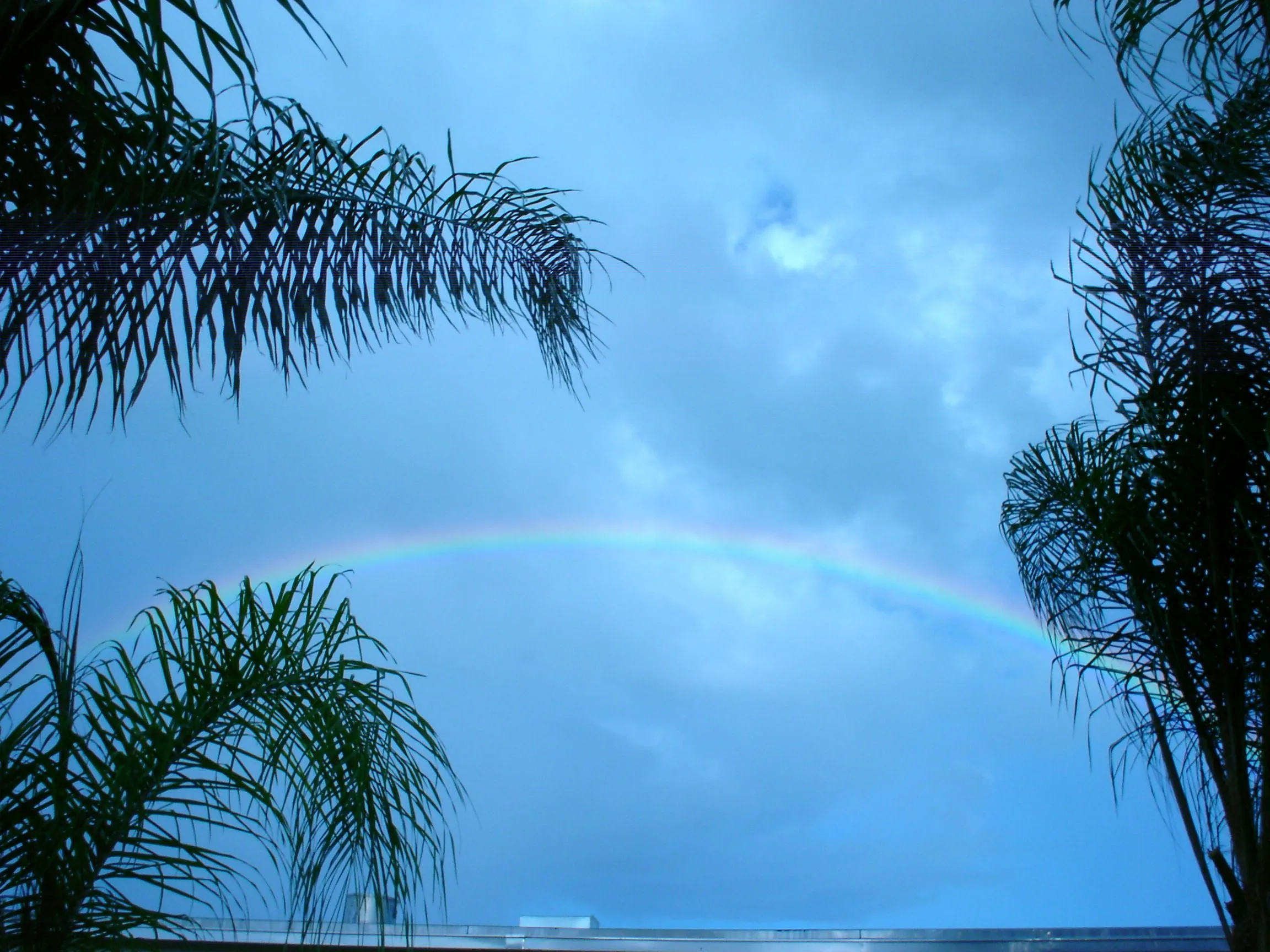 DSC01080.webp