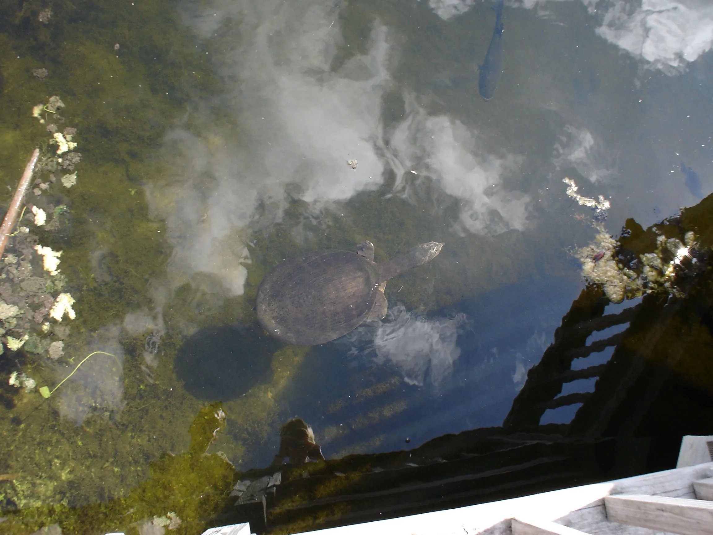 DSC01086.webp