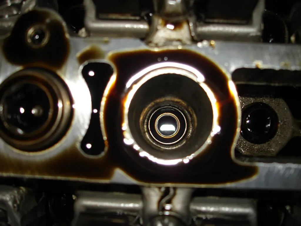 DSC01715.webp