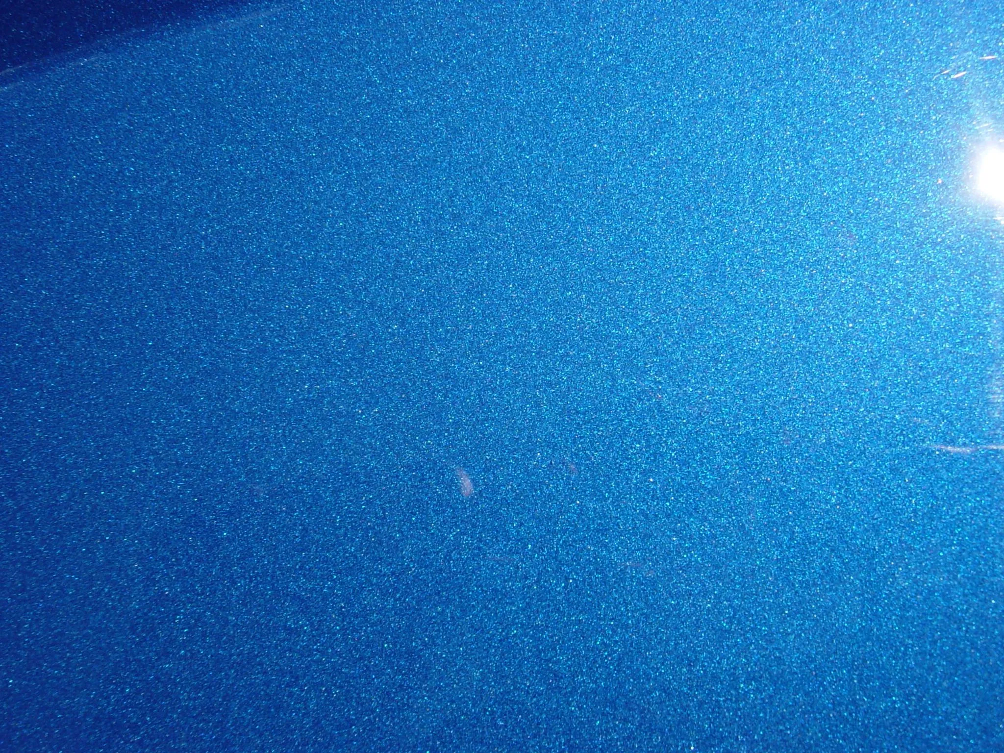 DSC01852.webp
