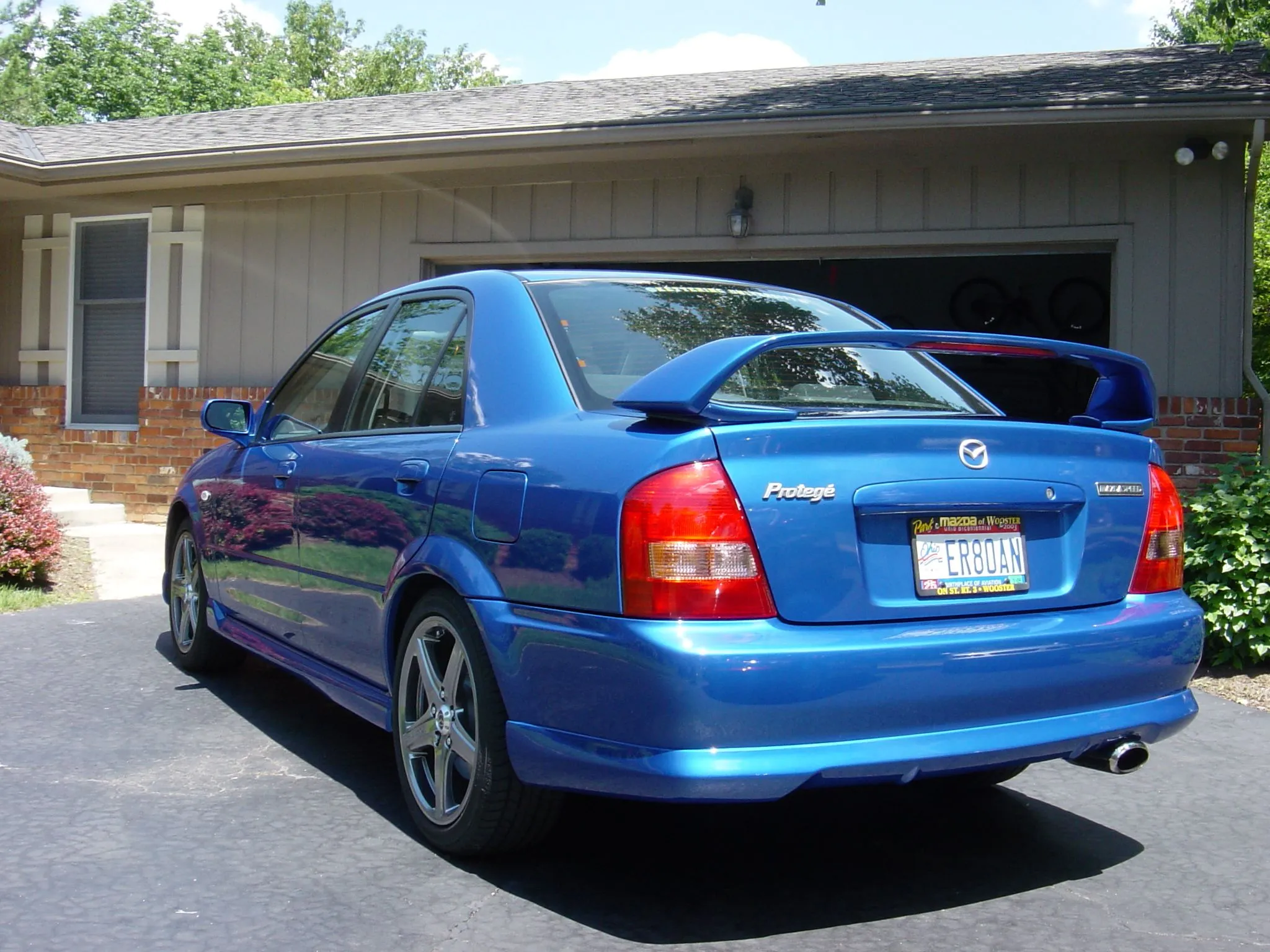 DSC01854.webp