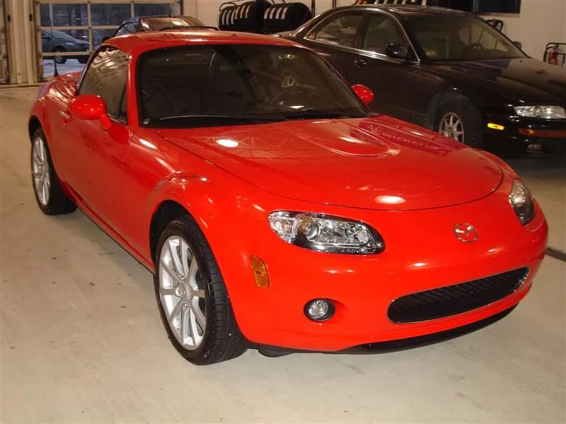 DSC01984 (Medium).webp