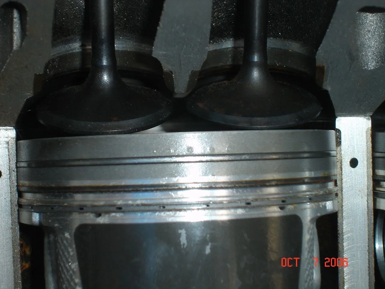 DSC02196.webp