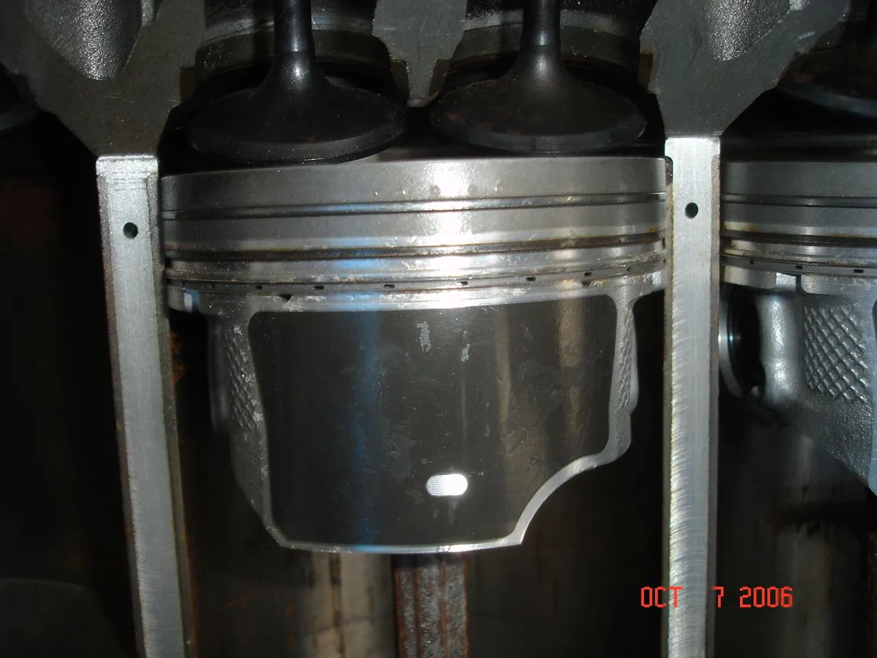 DSC02198.webp