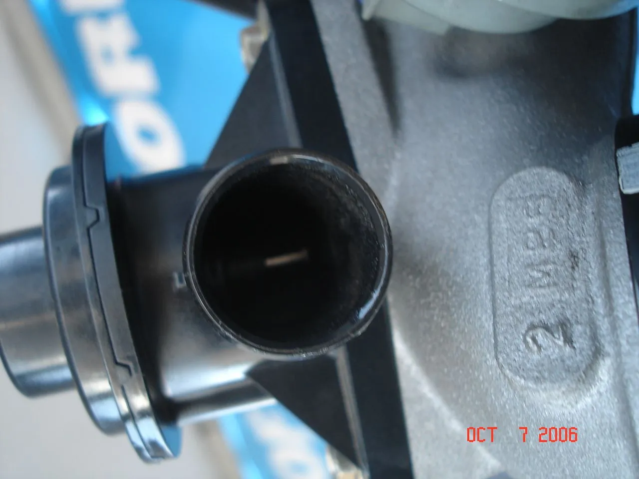 DSC02204.webp