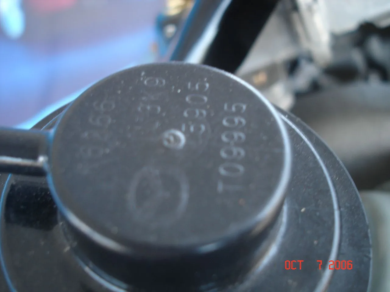 DSC02205.webp