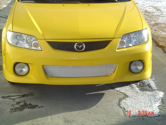 DSC02555.webp