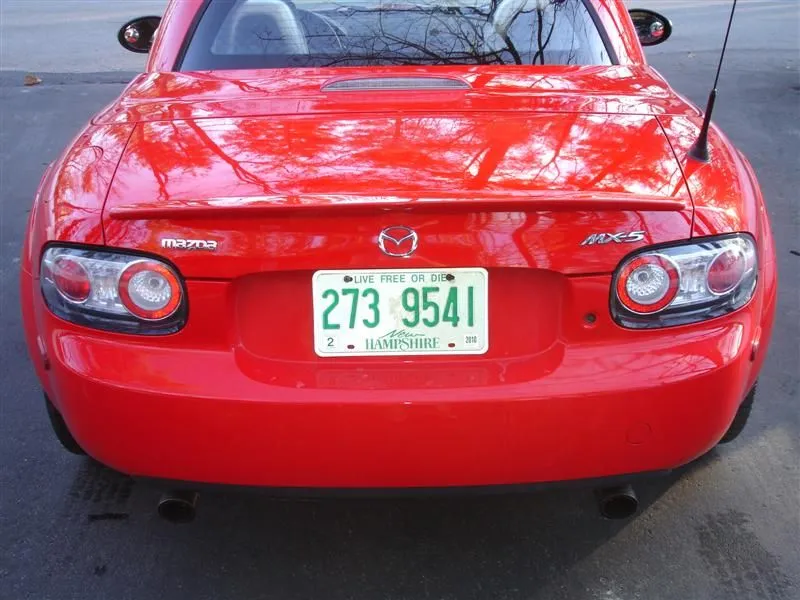 DSC02679 (Medium).webp