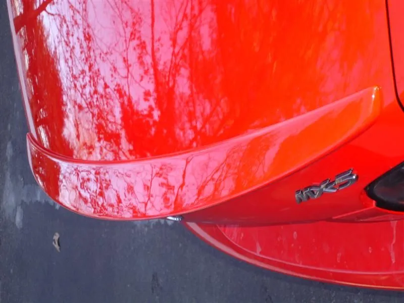 DSC02682 (Medium).webp