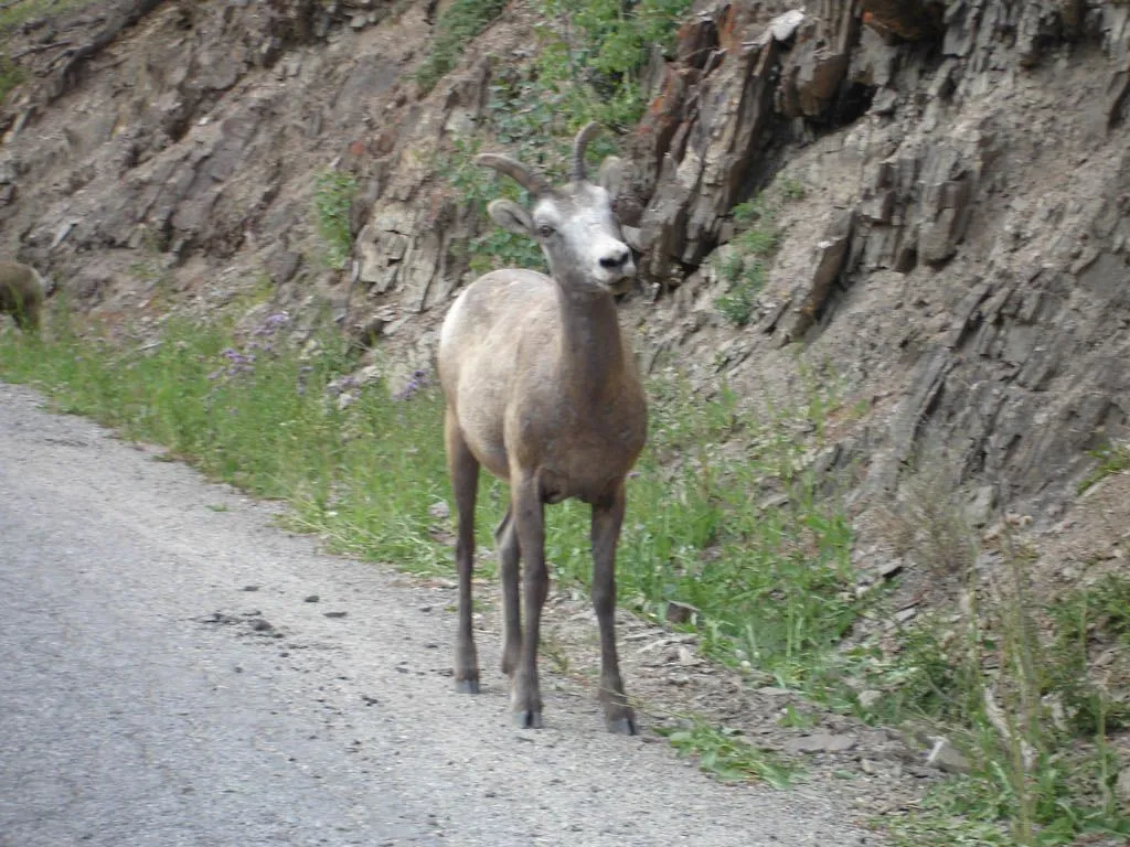 DSC02891.webp