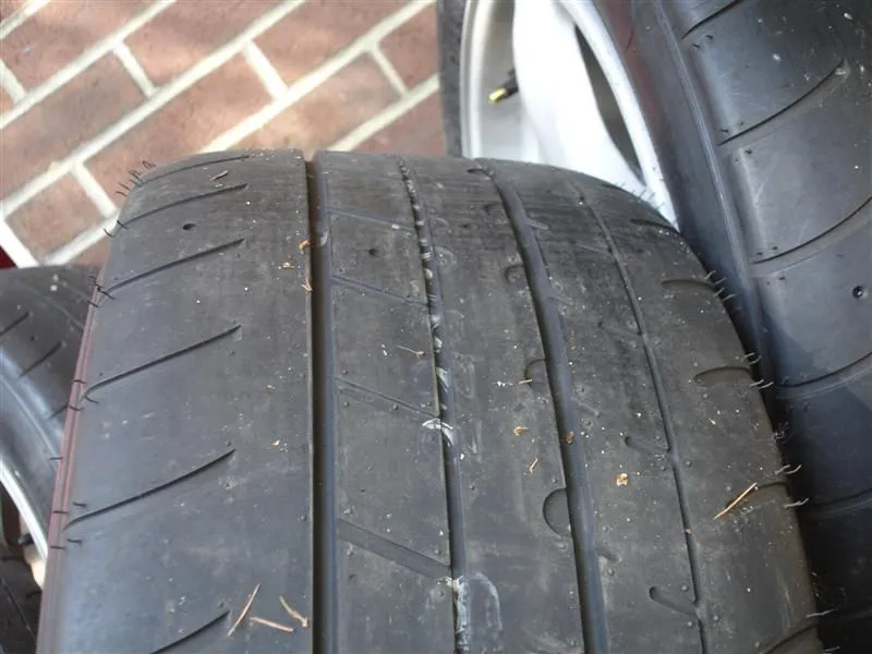 DSC03117 (Medium).webp