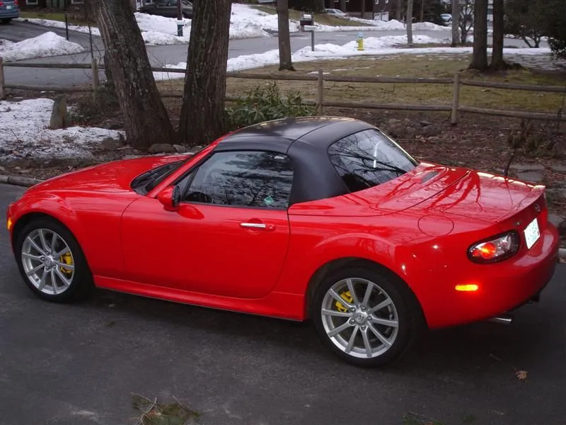 DSC03305 (Medium).webp