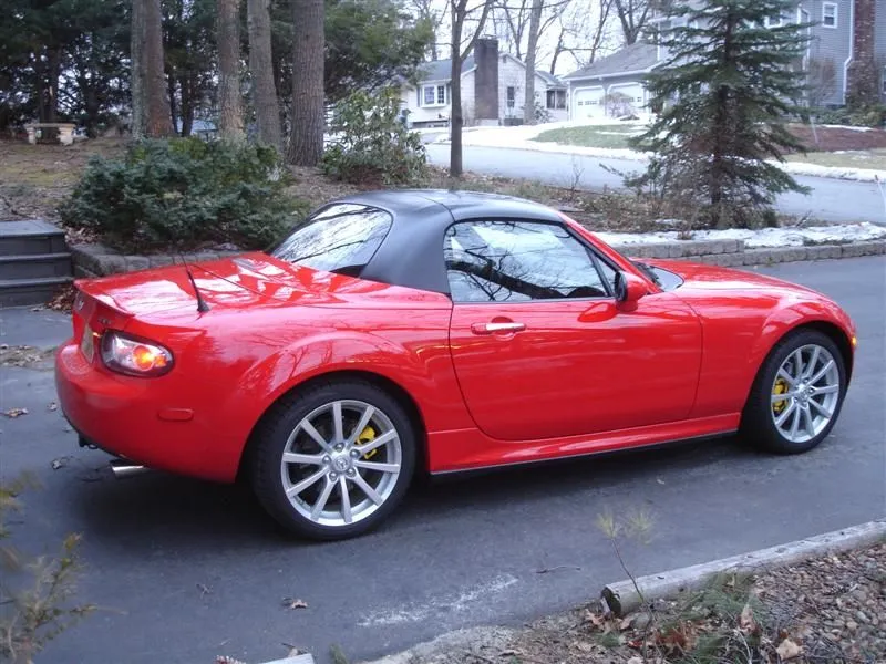 DSC03307 (Medium).webp