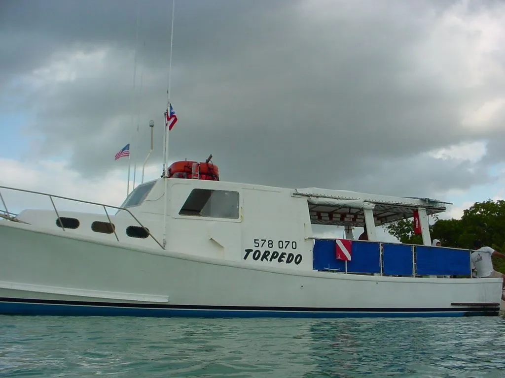 DSC04418.webp