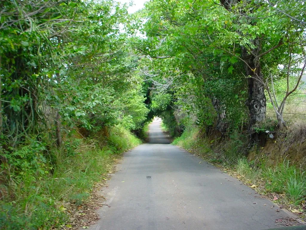 DSC04459.webp