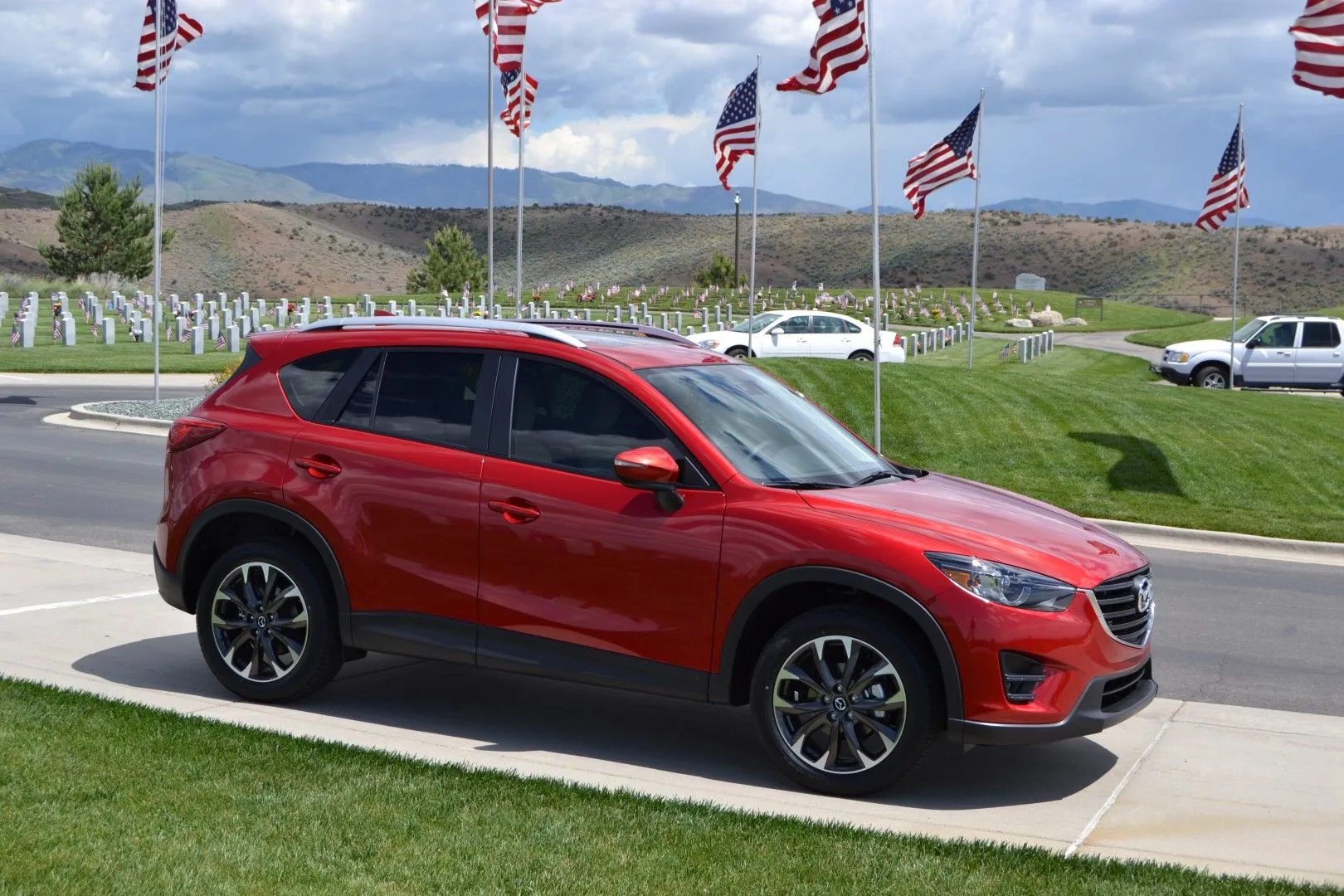 DSC_0038 (Large).JPG