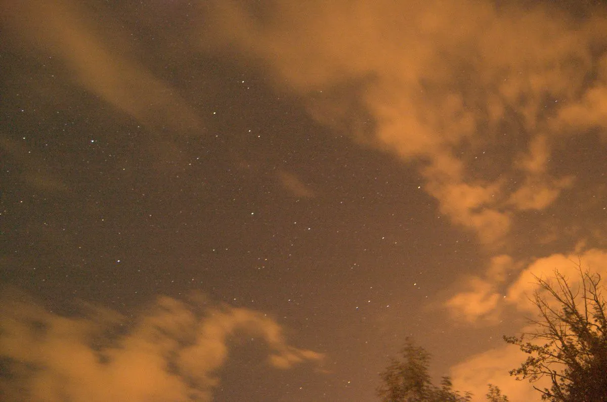 DSC_0188.webp