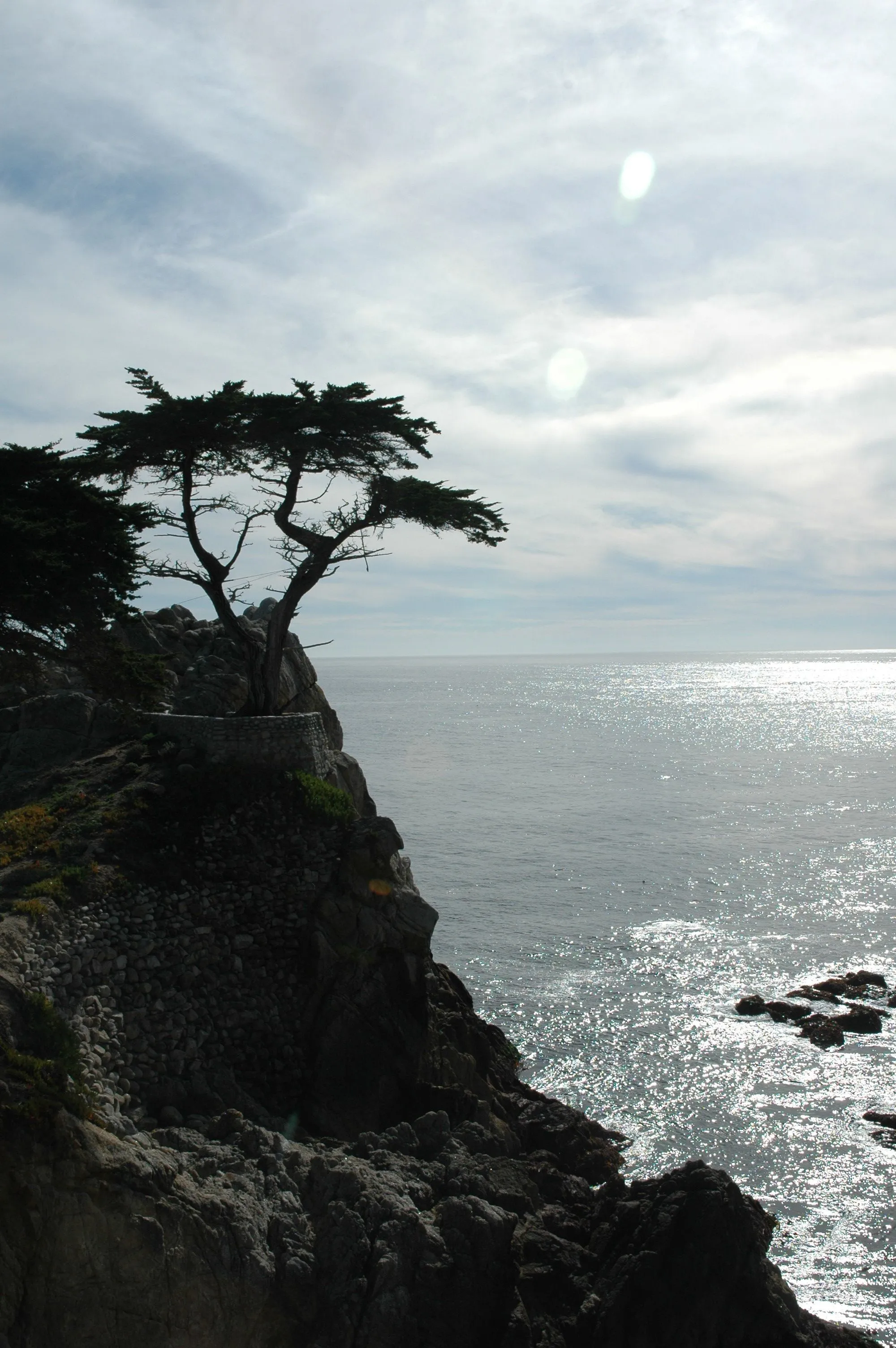 DSC_0263.webp