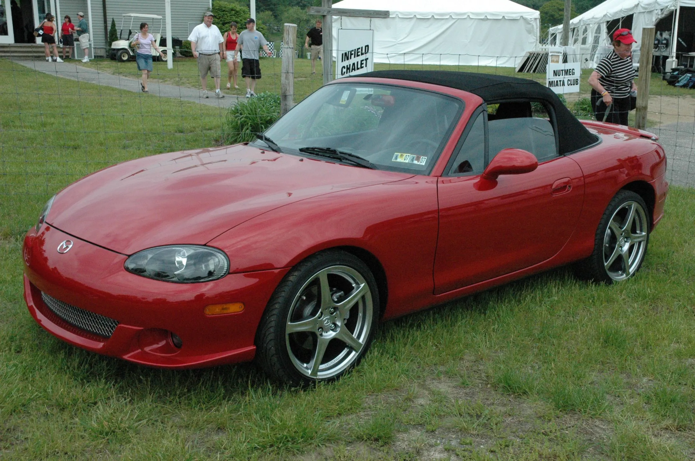 DSC_0317.webp