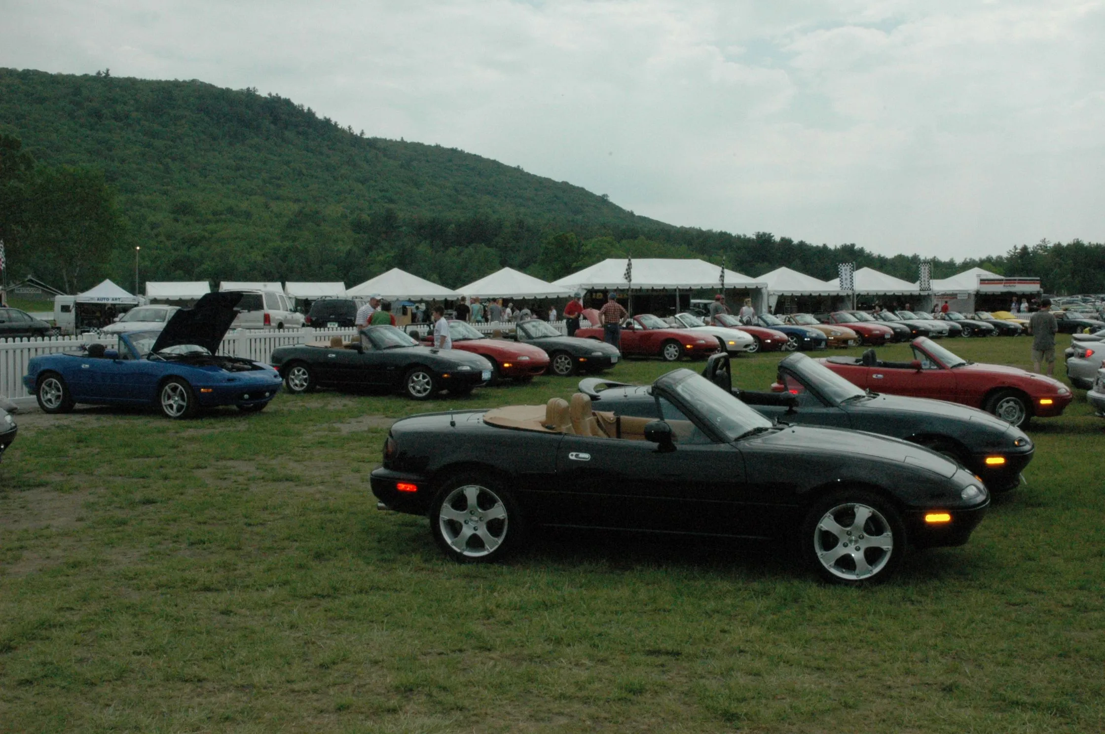 DSC_0319.webp