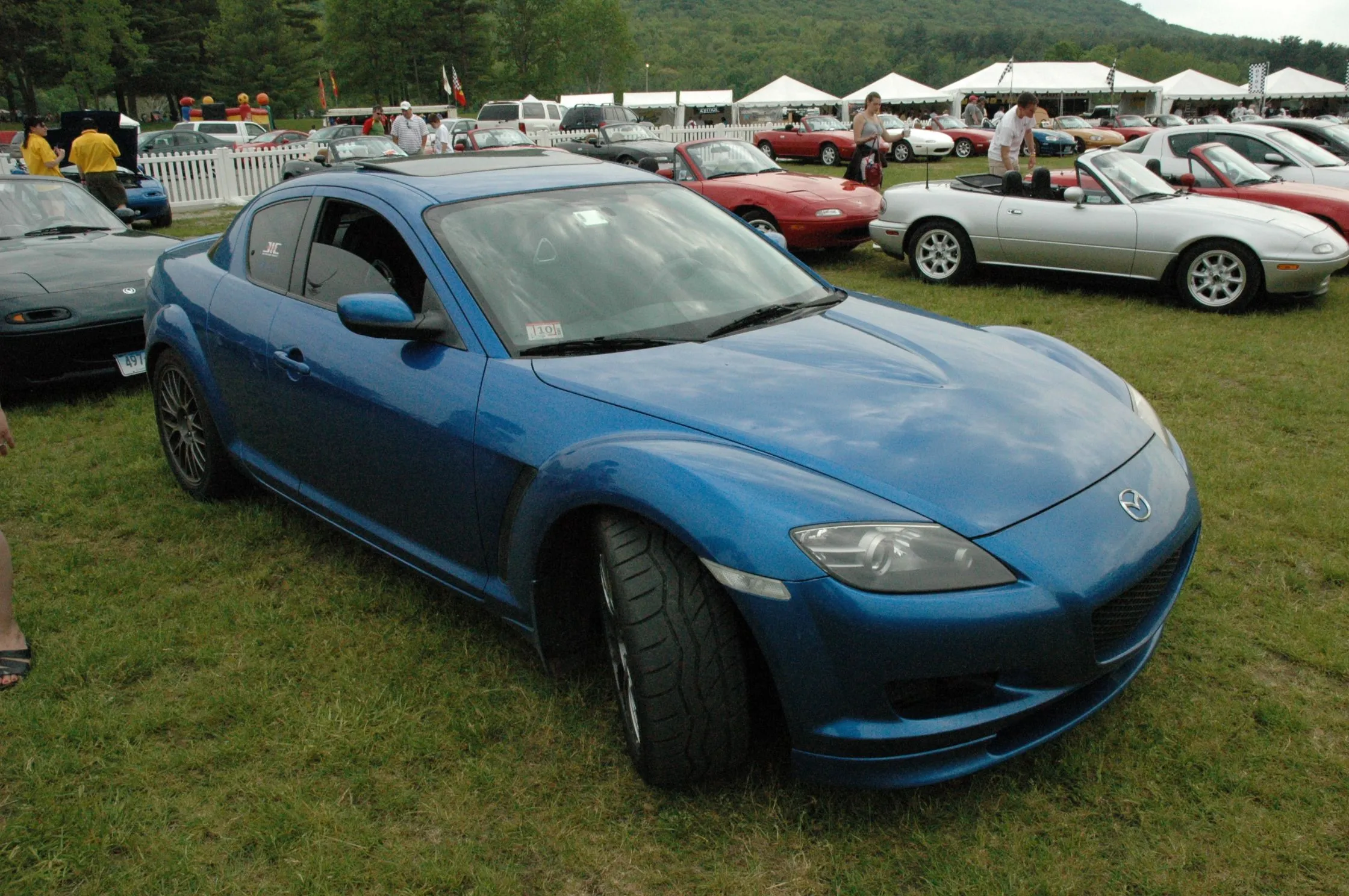 DSC_0321.webp
