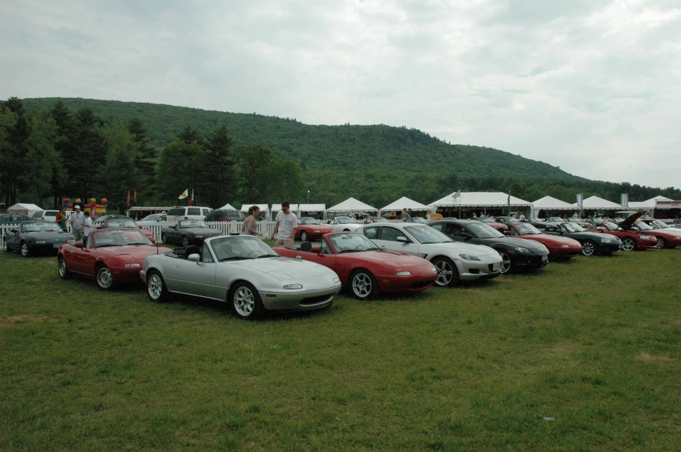 DSC_0323.webp
