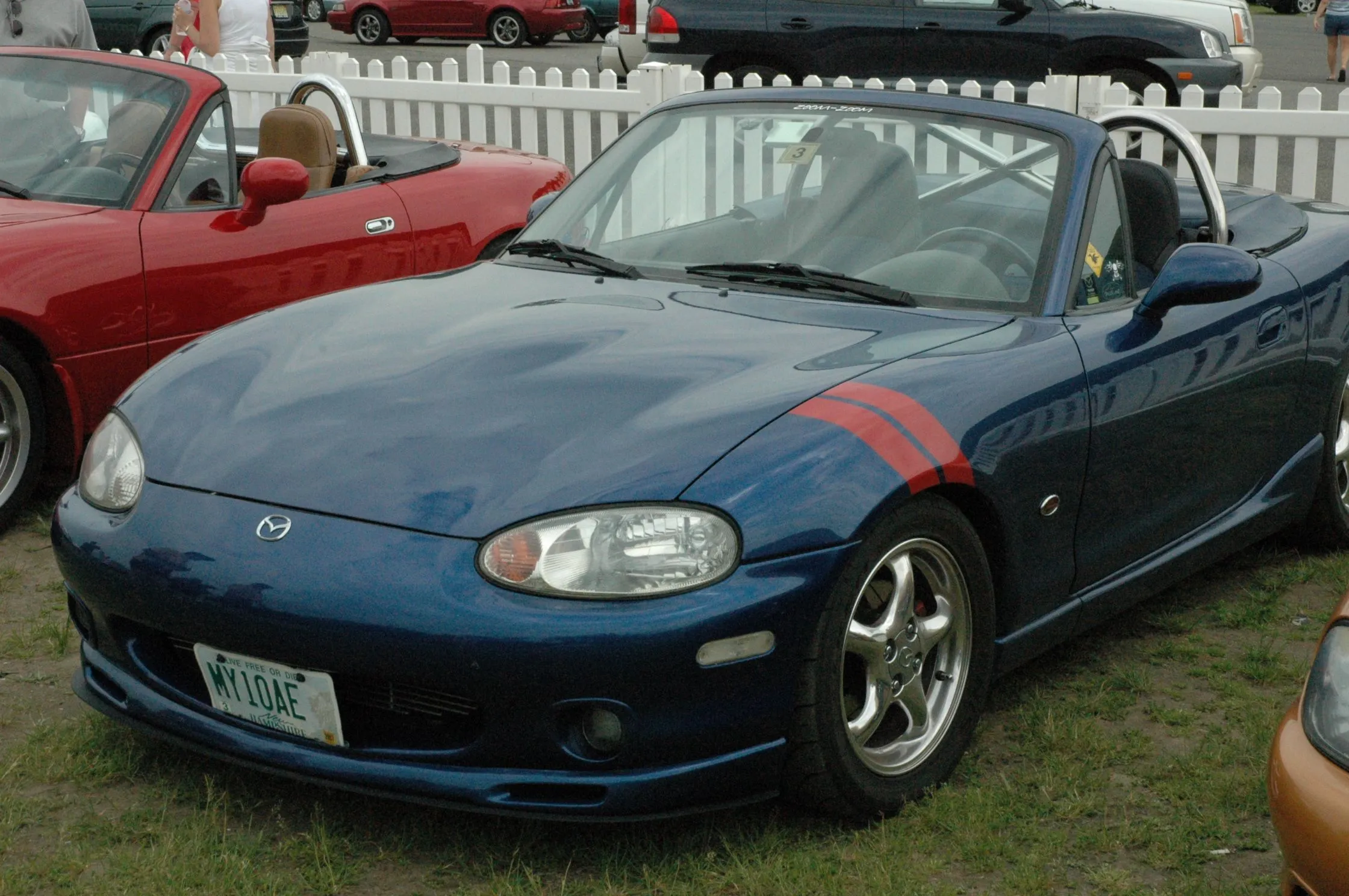 DSC_0329.webp
