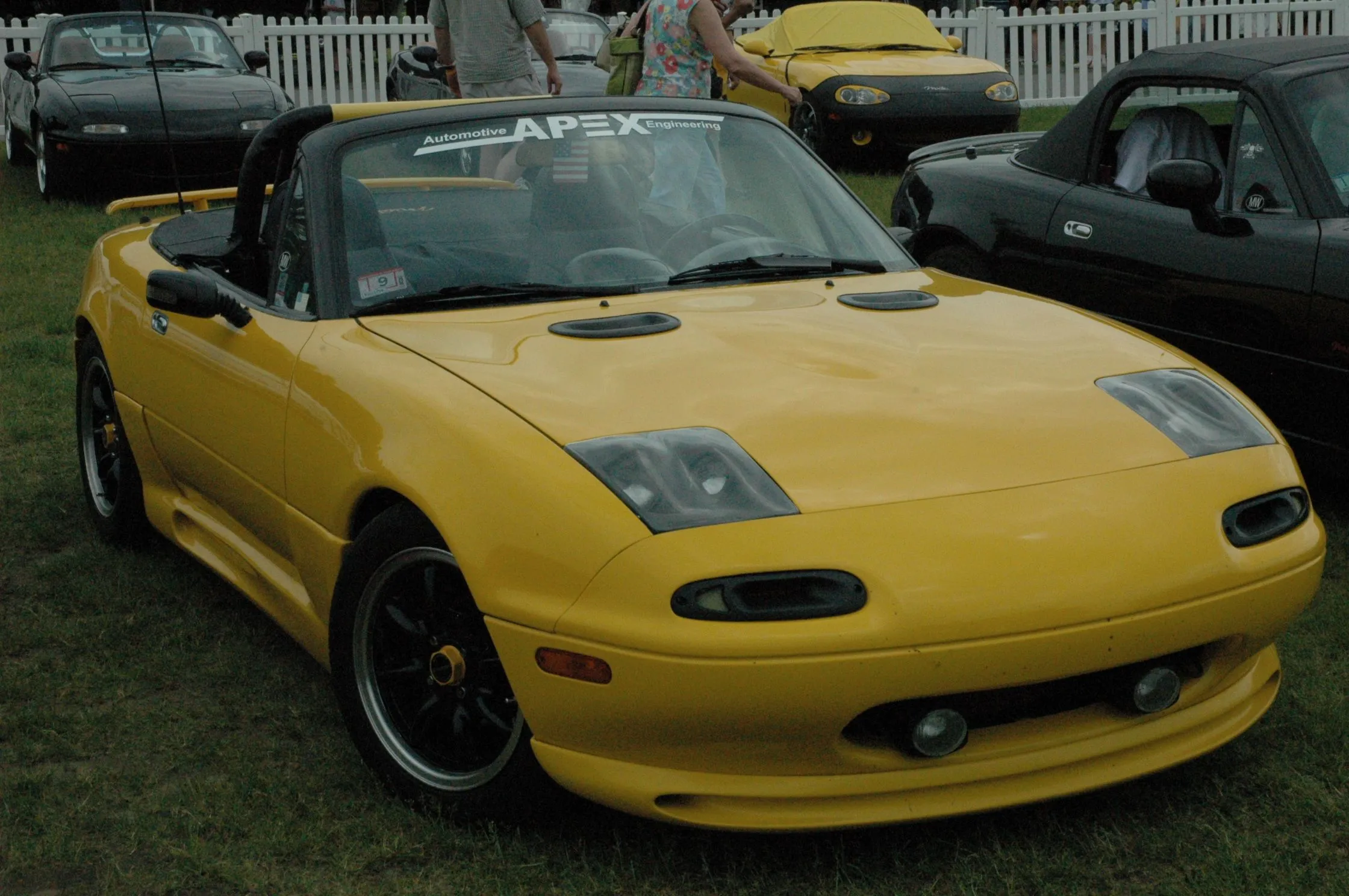 DSC_0332.webp