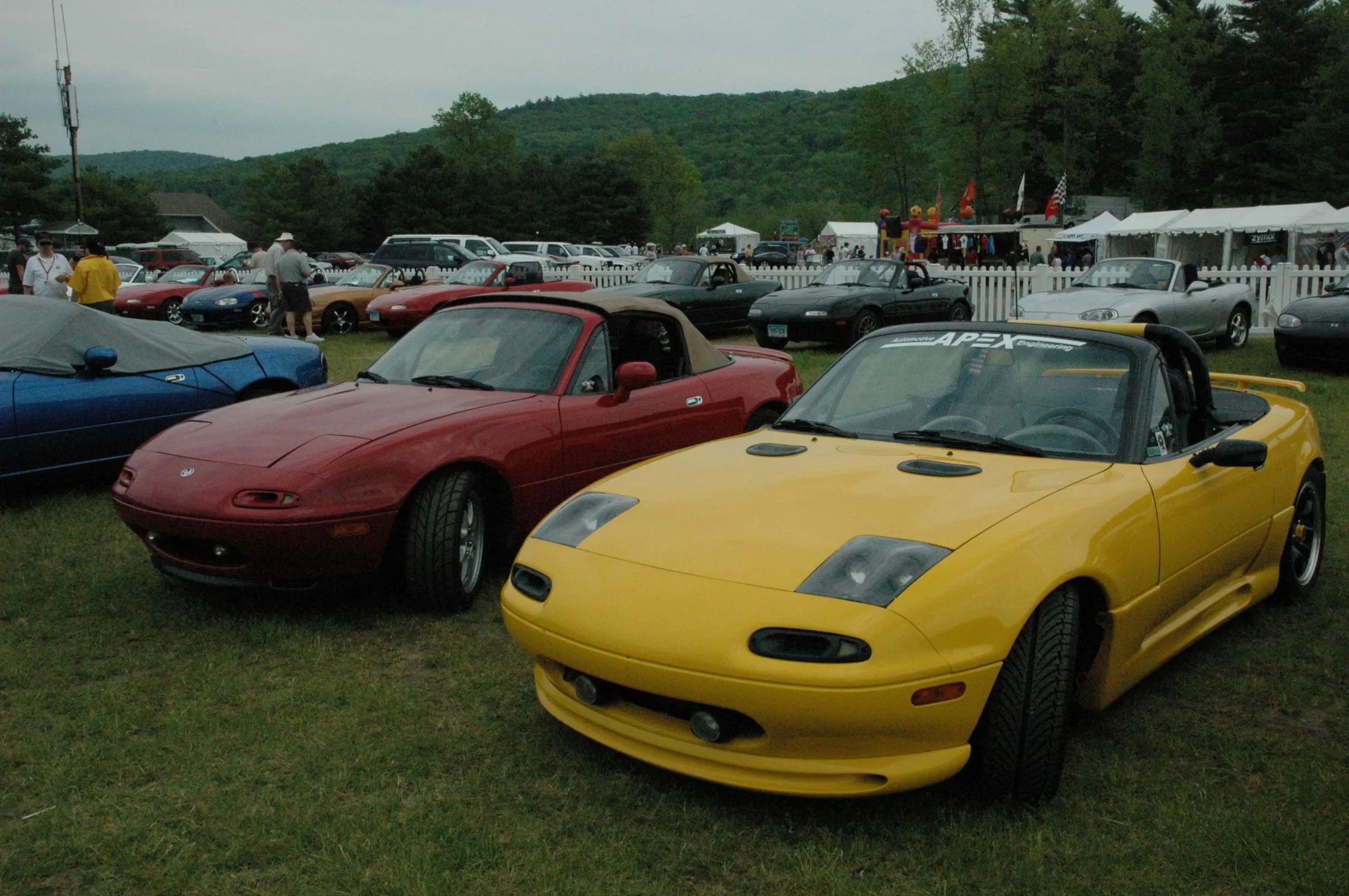 DSC_0333.webp