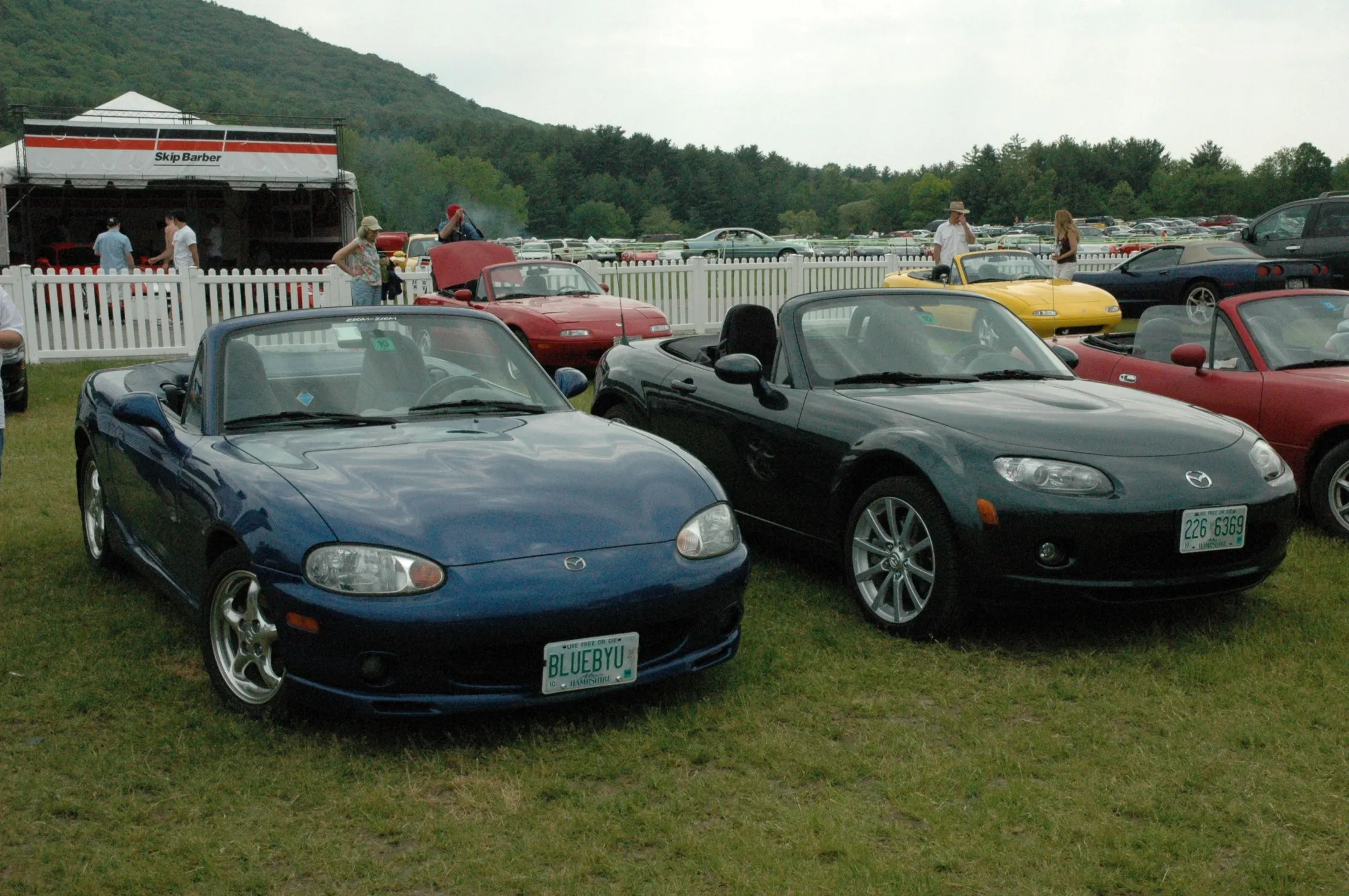 DSC_0335.webp