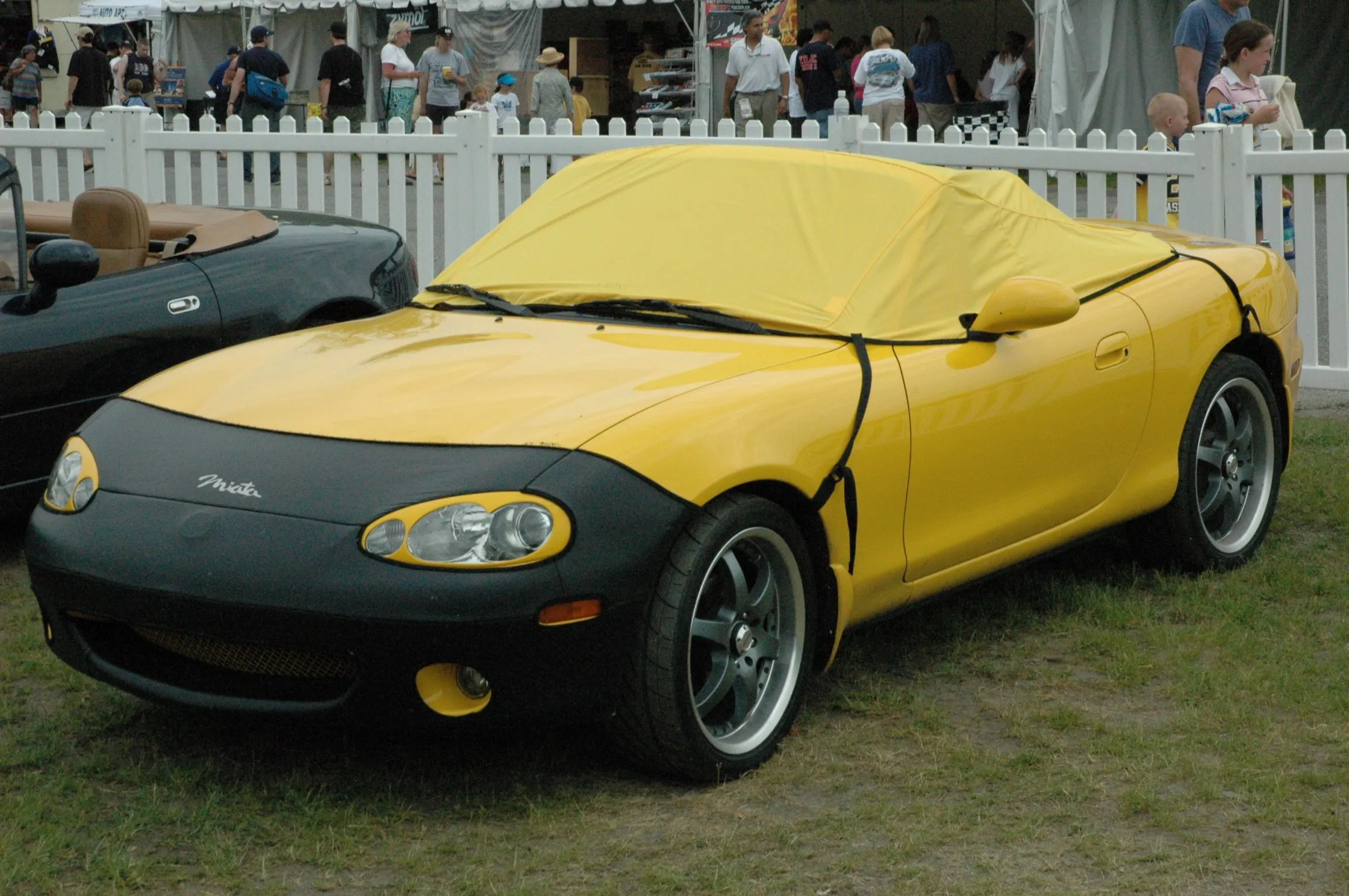 DSC_0336.webp