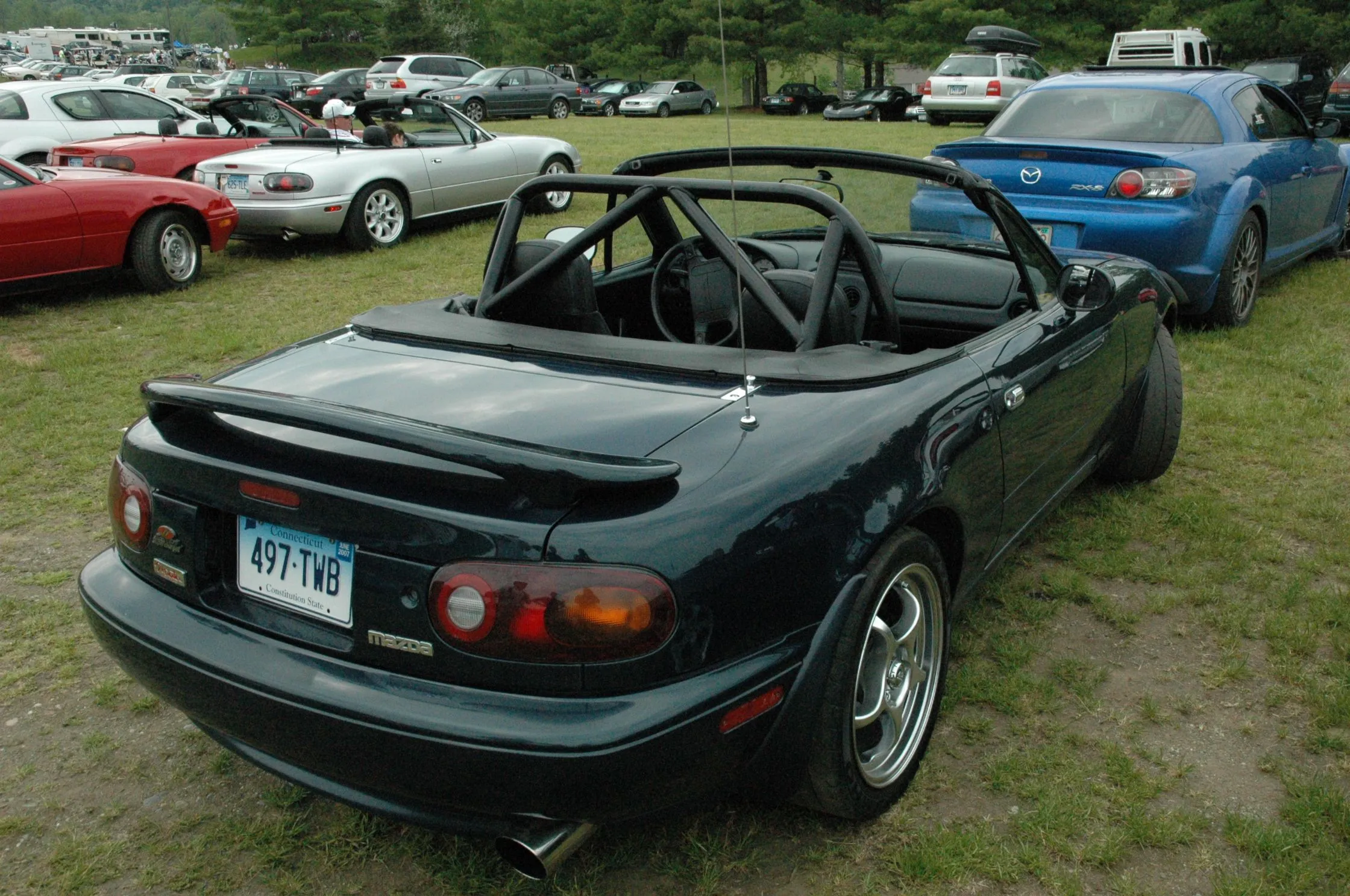 DSC_0337.webp