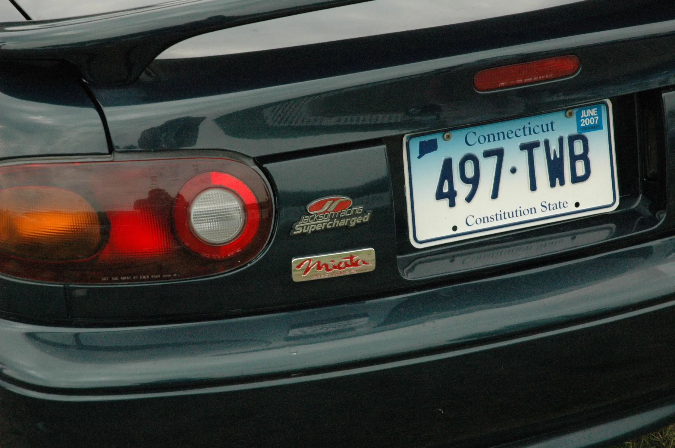 DSC_0339.webp