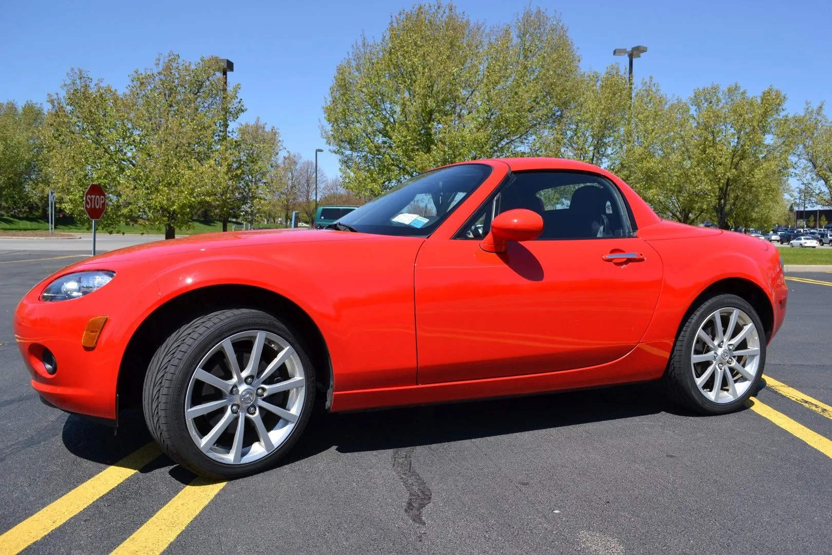 DSC_2667 (Large).webp