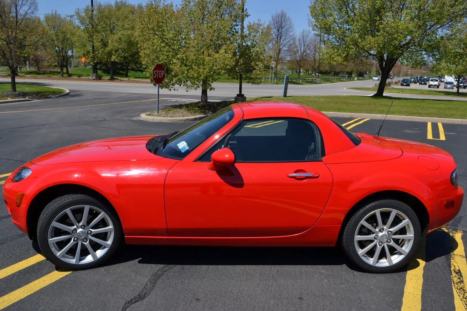 DSC_2668 (Large).webp